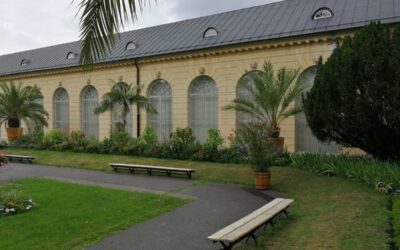 Muzeum pałacu Króla Jana III w Wilanowie